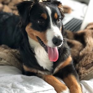 Meet your Posher, Bianca